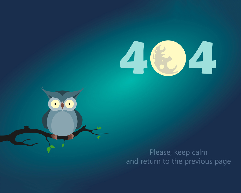 Error Page